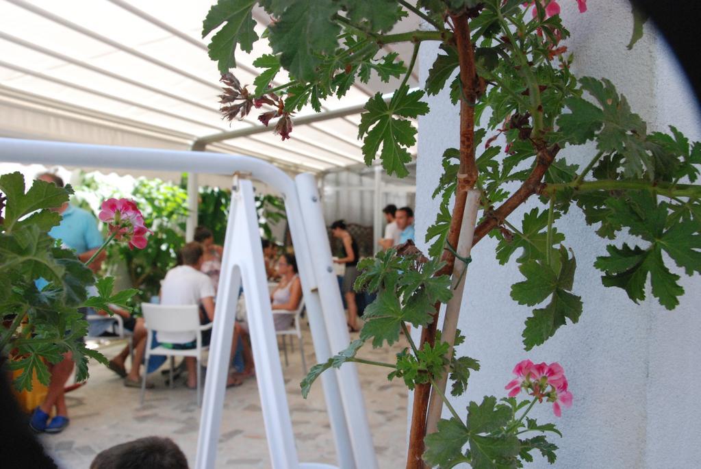 Hotel Cristall San Benedetto del Tronto Ngoại thất bức ảnh